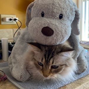 Meet your Posher, Ethan